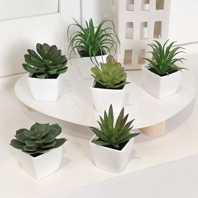 HomeTod™ 6pcs Mini Evergreen Artificial Succulents