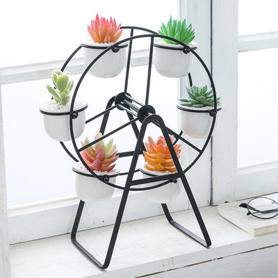 HomeTod™ Succulent Pot Ferris Wheel