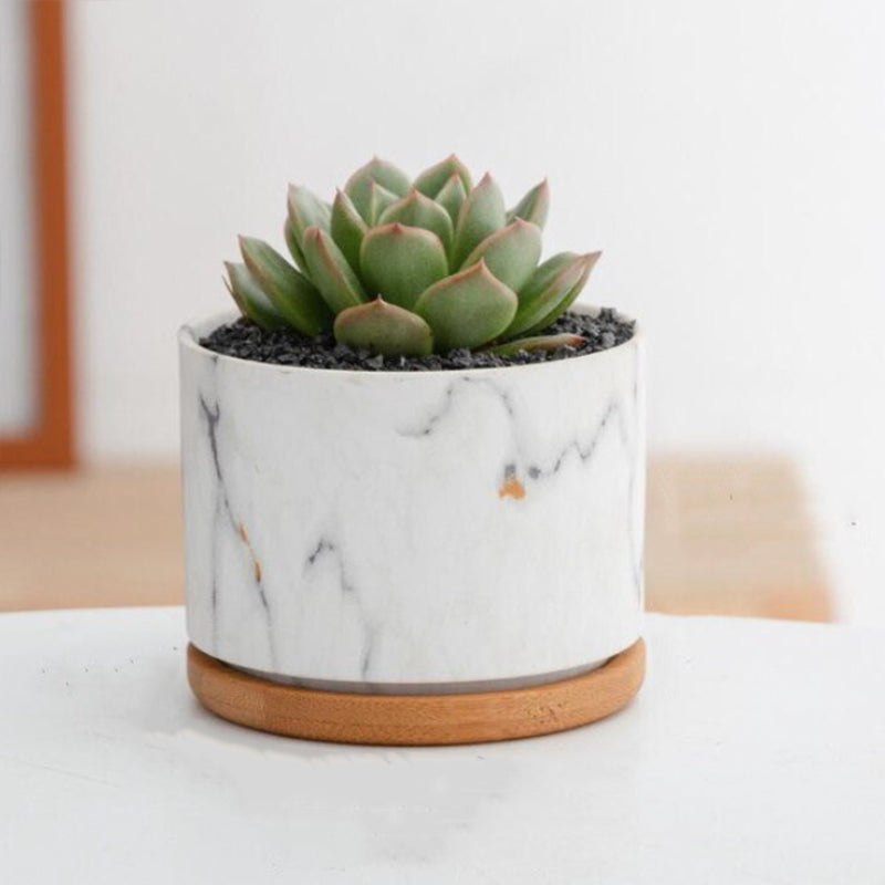 HomeTod™ Succulent Marble Pots