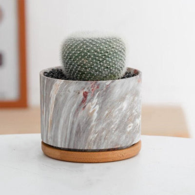 HomeTod™ Succulent Marble Pots