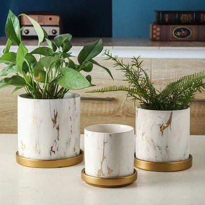 HomeTod™ Marble Ceramic Succulent Pots