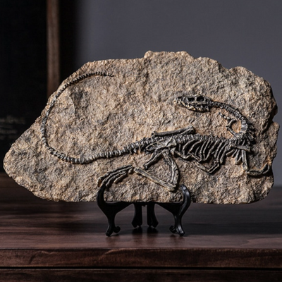 HomeTod™ Dinosaur Fossil