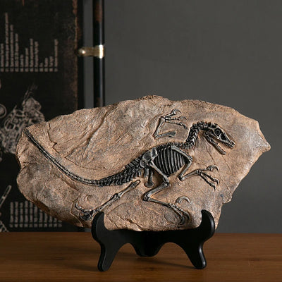 HomeTod™ Dinosaur Fossil